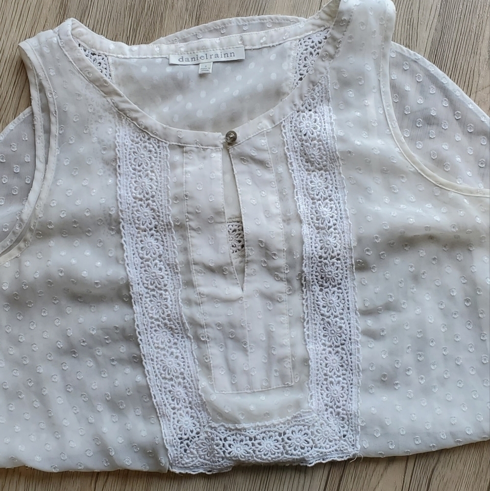Daniel Rainn Cream Sheer Lacey Top S